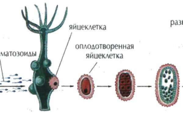 Kraken 18at зеркало