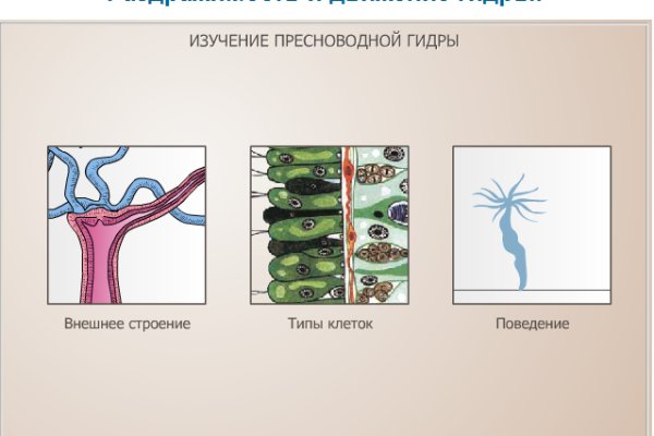 Кракен тор ссылка онион