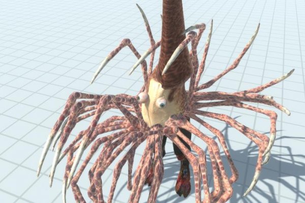 Kraken tor link