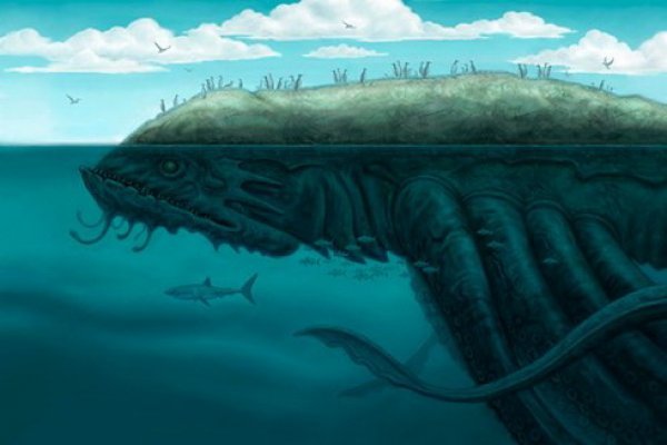 Kraken даркнет переходник