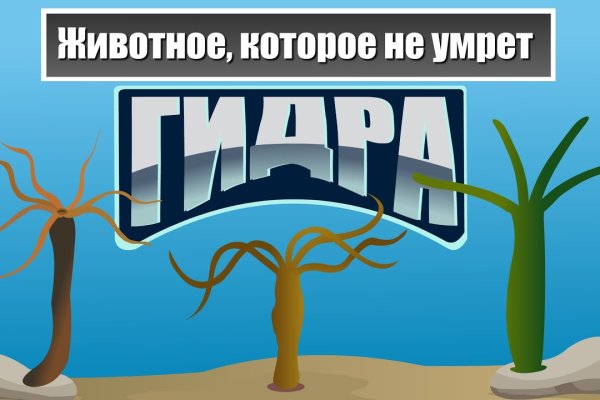 Кракен онион тор